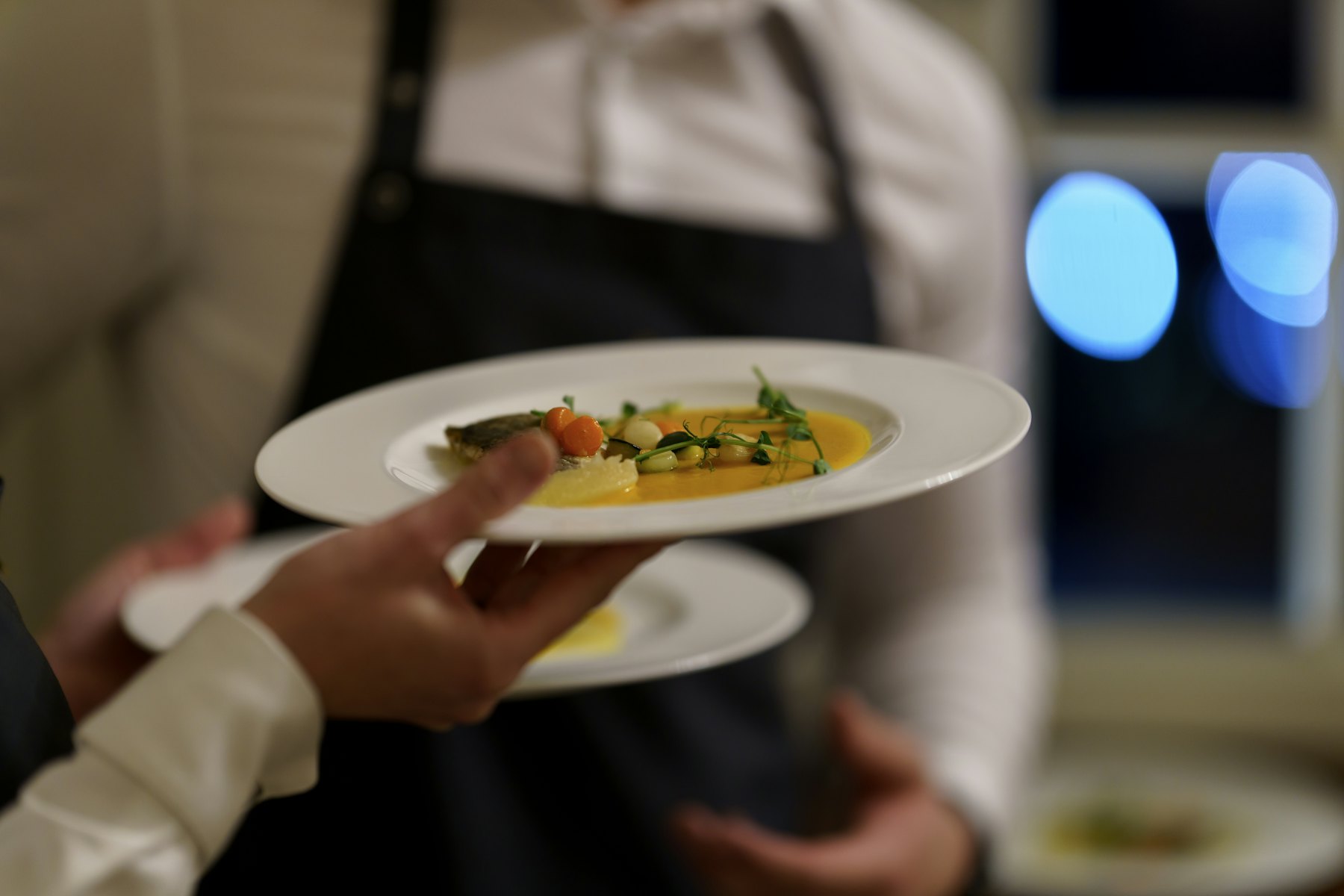 A member of service staff carrying a plated dish