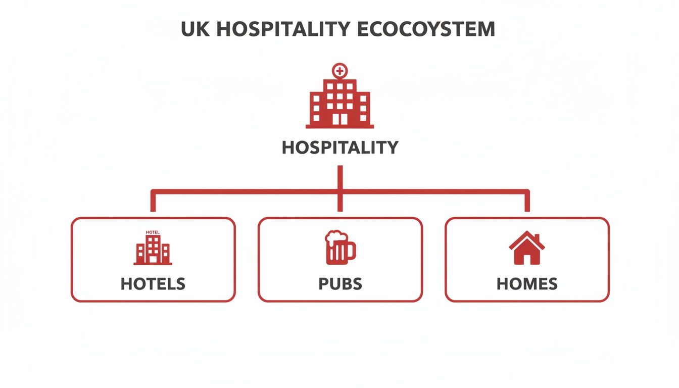 A diagram illustrating the UK hospitality ecosystem, categorizing it into hotels, pubs, and homes.