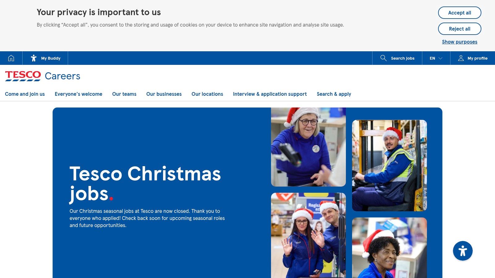 Tesco – Festive Colleague